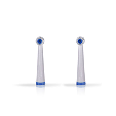 Electric Toothbrush Refill